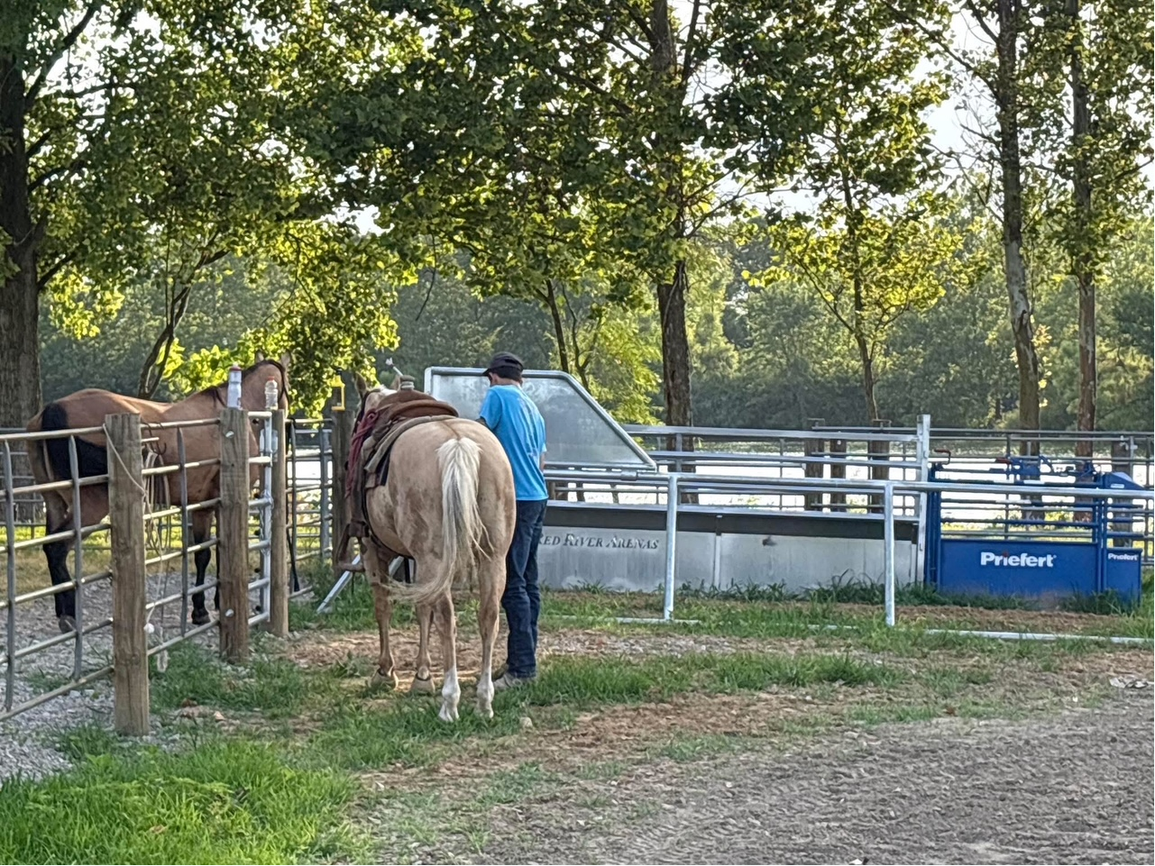 Life at Sycamore Shores